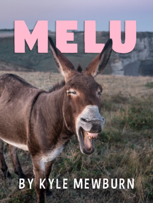 Cover of Melu