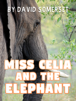 Cover of Miss Celia and the Elephant