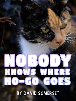 Cover of Nobody Knows Where No Go Goes